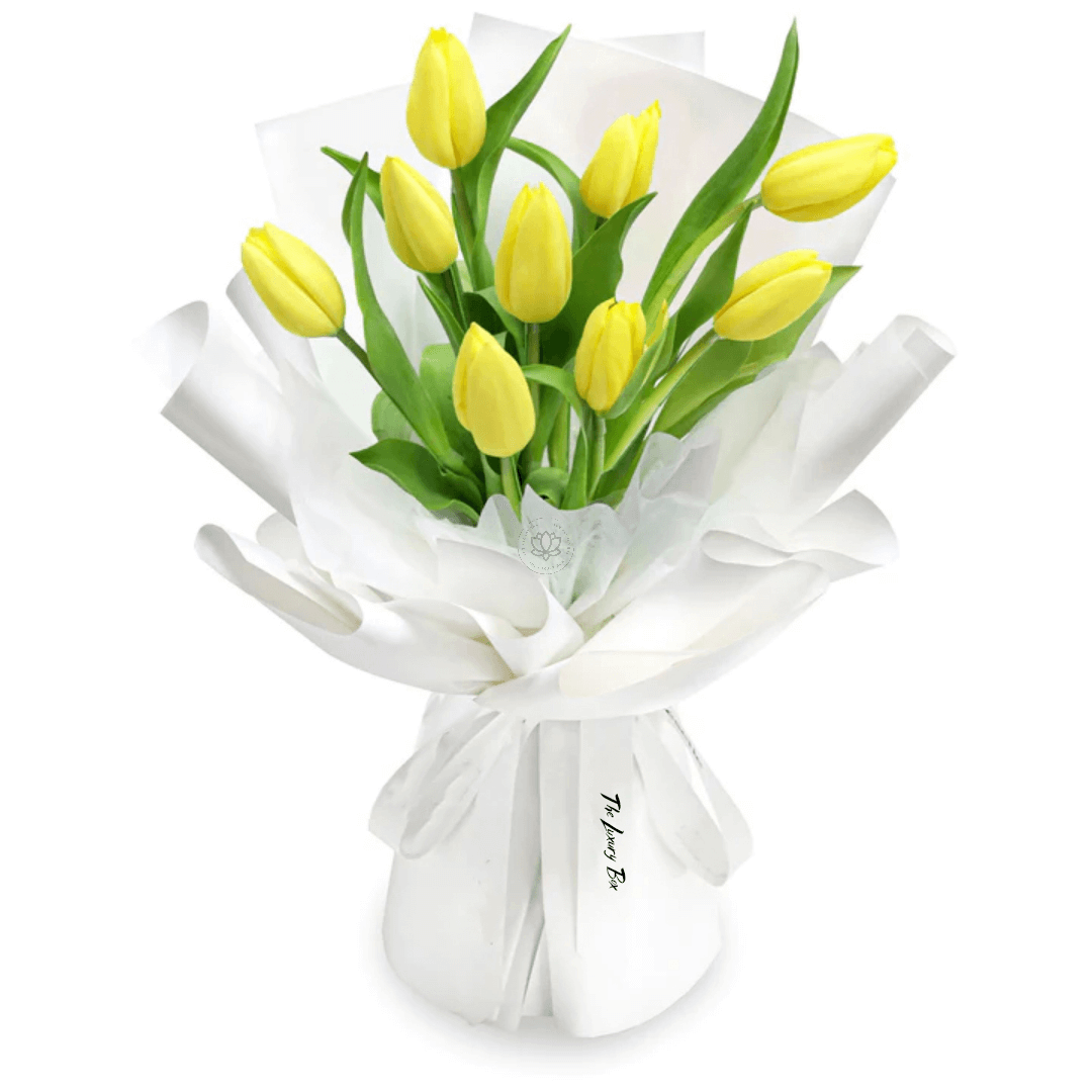 Bouquet de Tulipes Bouquet de Tulipes