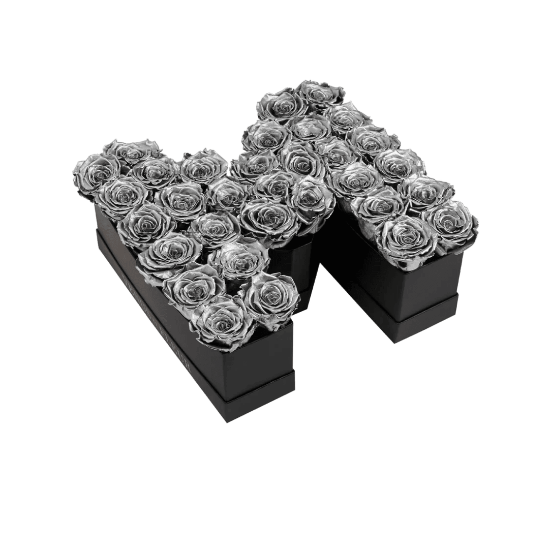 M_sliver Lettre de Roses Silver