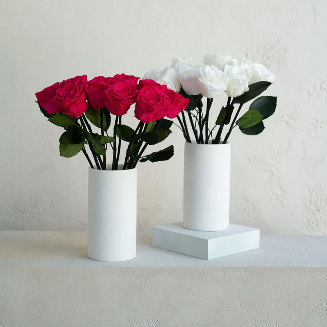 Pots de fleurs Deluxe (1) Vase de fleurs