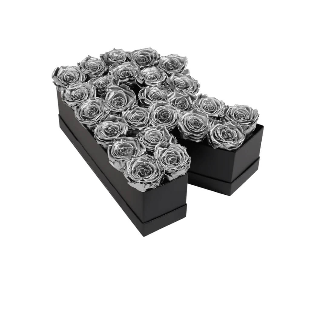 R_sliver Lettre de Roses Silver