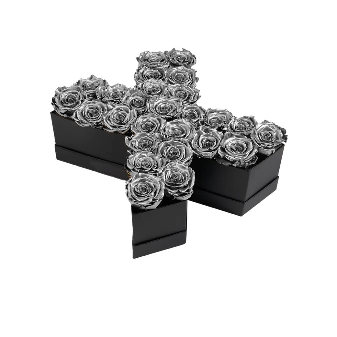 X_sliver Lettre de Roses Silver