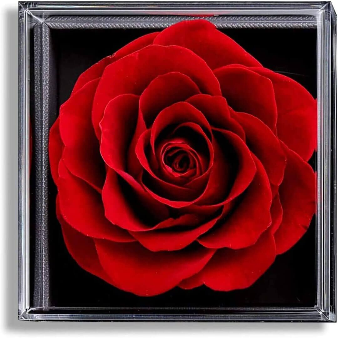 Coffret de fleurs (5) Coffret de fleurs 5 | The Luxury Box