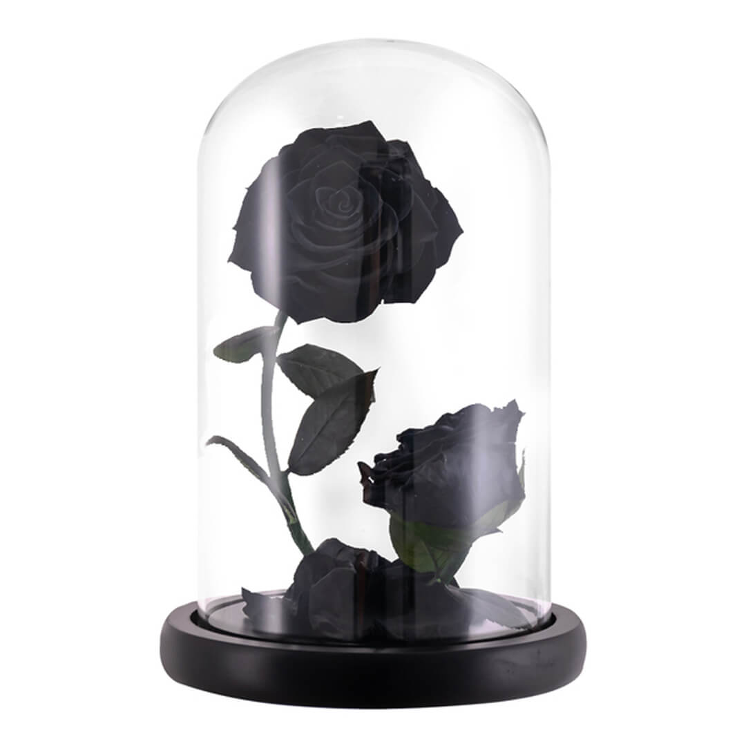 Rose Sous Cloche x2 (2) Rose Sous Cloche x2 2 | The Luxury Box