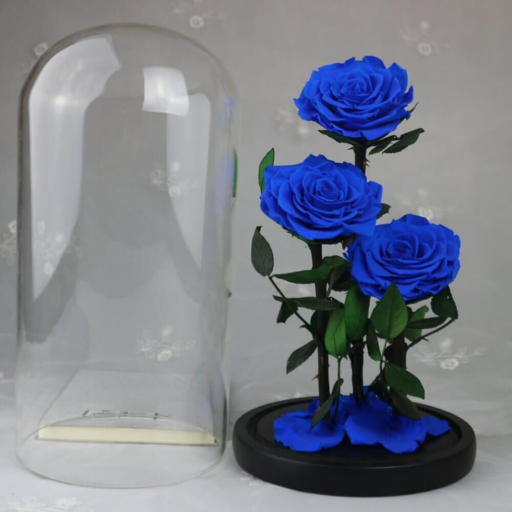 Rose Sous Cloche XXL (6) Rose
Deluxe Cloche