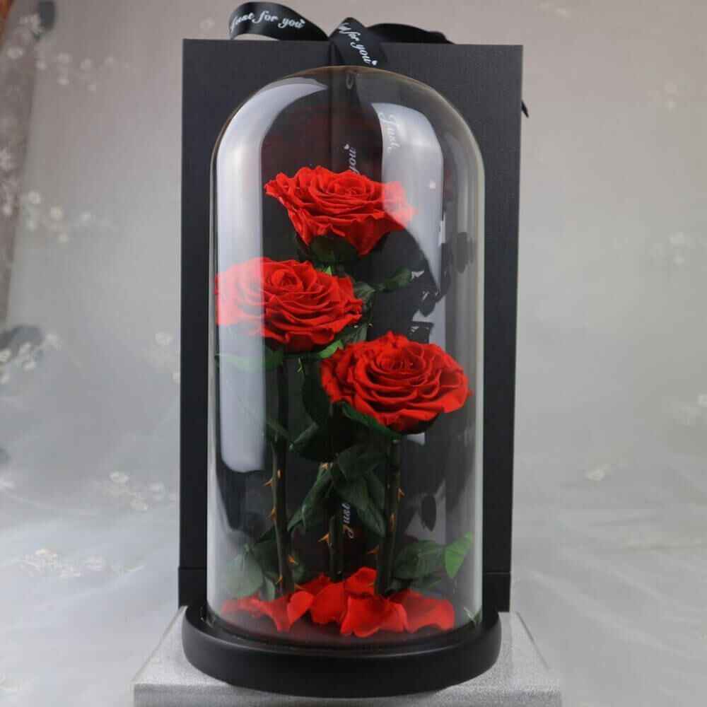 Rose Sous Cloche XXL (7) Rose
Deluxe Cloche