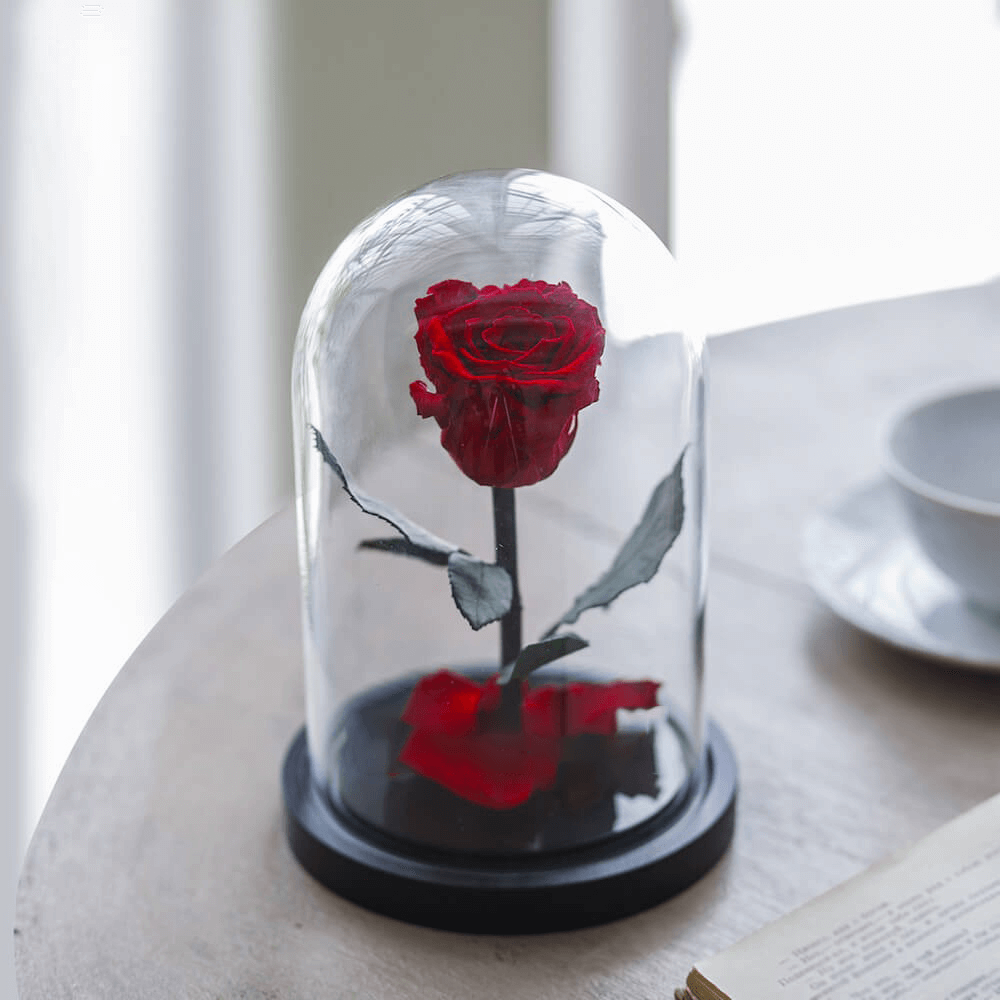 Rose sous cloche Deluxe (2) Rose
Sous Cloche