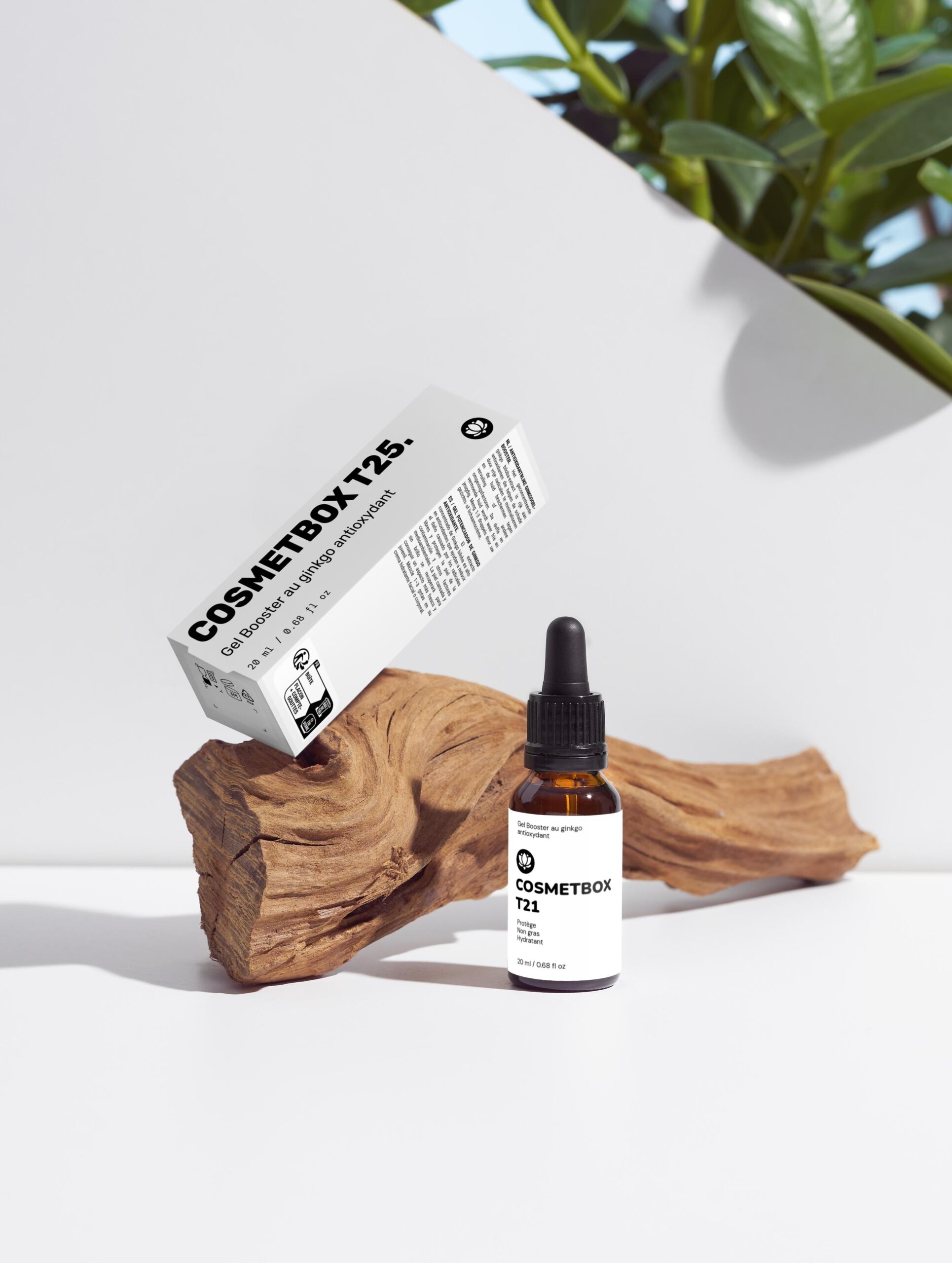 Gel Booster au ginkgo antioxydant, 20 ml (6) Gel Booster au ginkgo antioxydant 20 ml 6 scaled | The Luxury Box