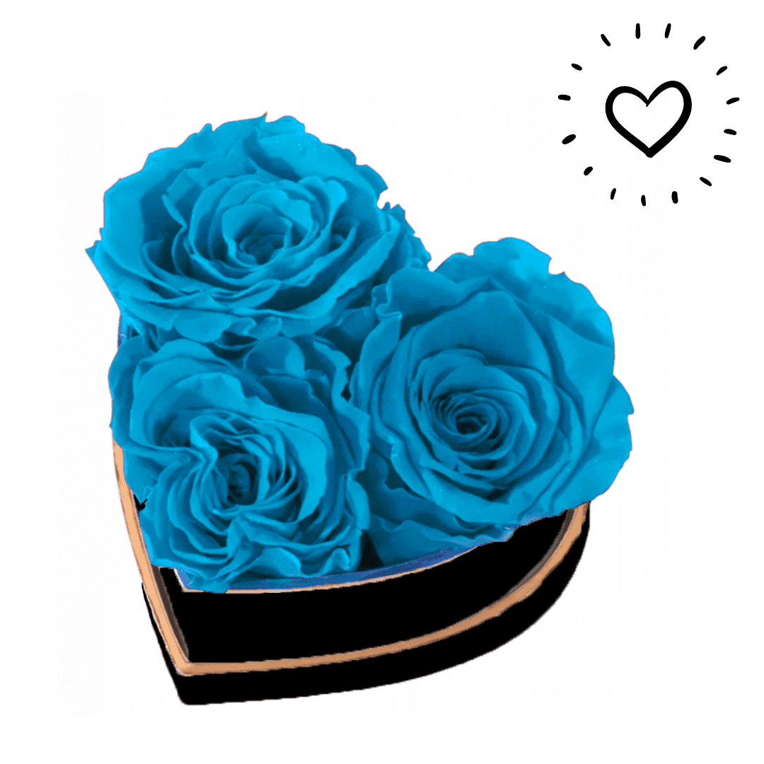 Petit Cœur 1 | The Luxury Box Boite de roses éternelles en forme de cœur