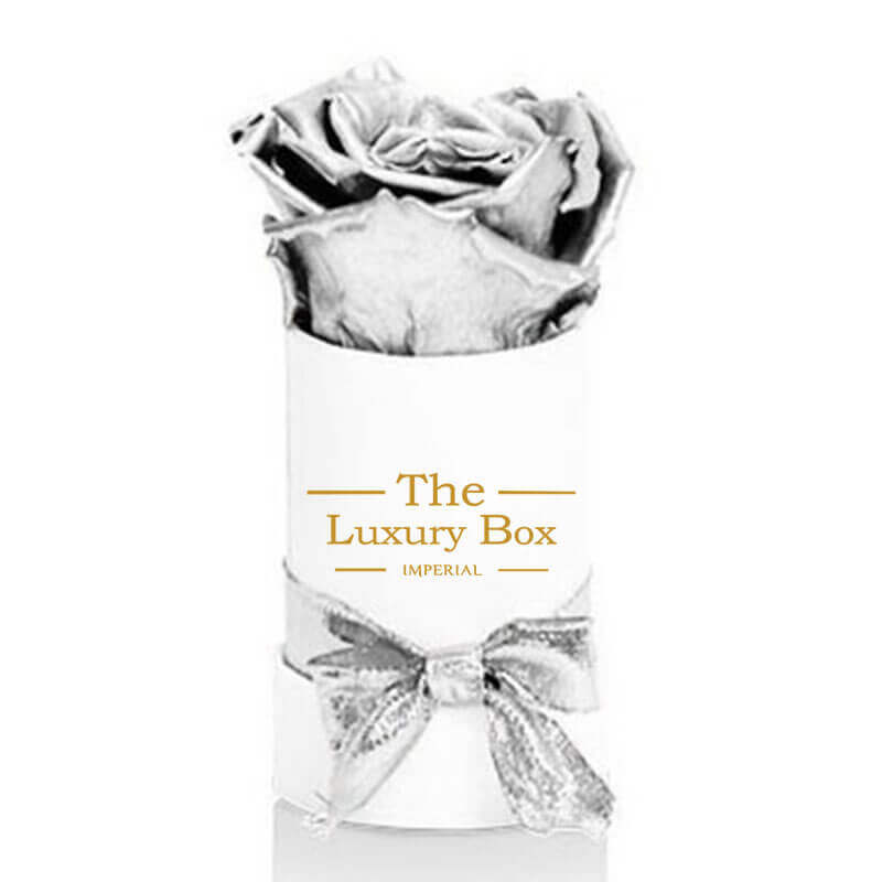 Mini Silver Cirle 1 | The Luxury Box Boite de roses éternelles en argent