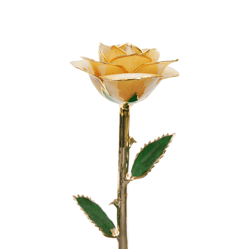 Rose en or par The Luxury Box | The Luxury Box