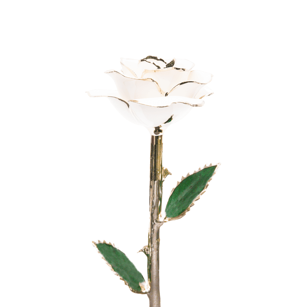 Rose en or par The Luxury Box | The Luxury Box