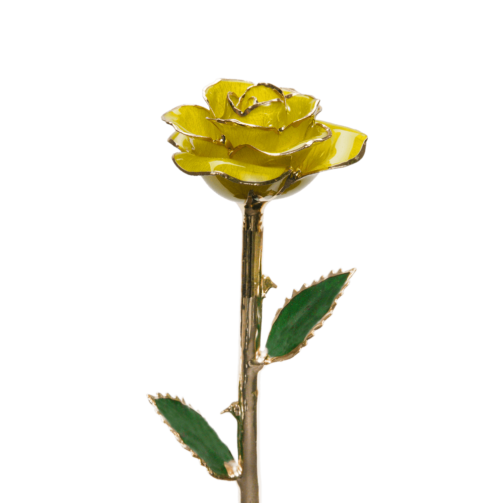 Rose en or par The Luxury Box | The Luxury Box