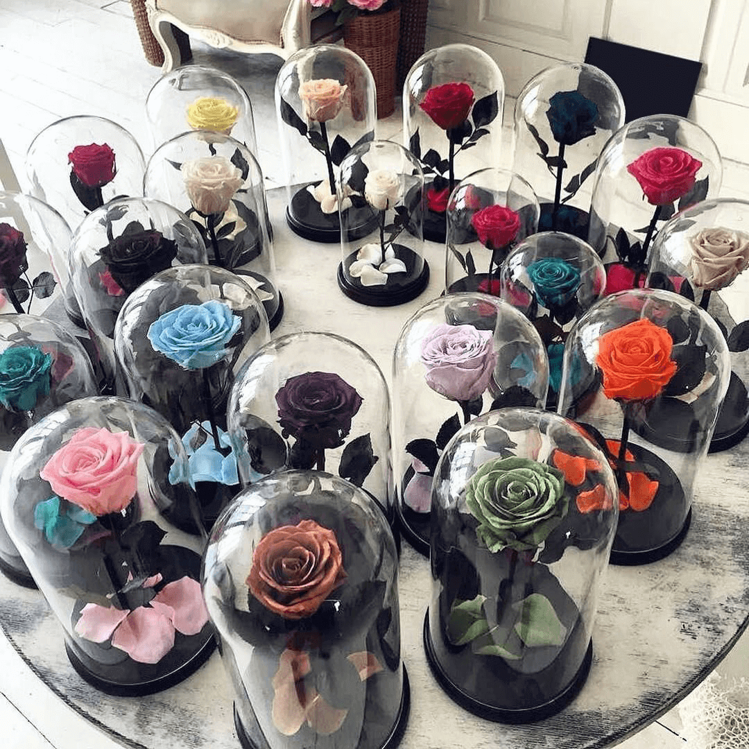 Roses-sous-cloches-(1) Roses sous cloches 1 | The Luxury Box