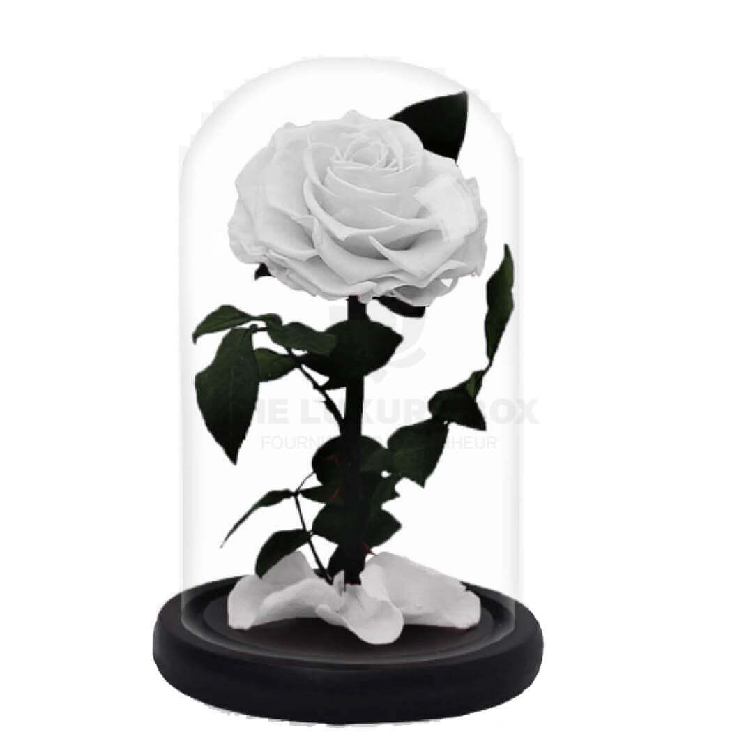 Roses-sous-cloches-7 Roses sous cloches 7 | The Luxury Box