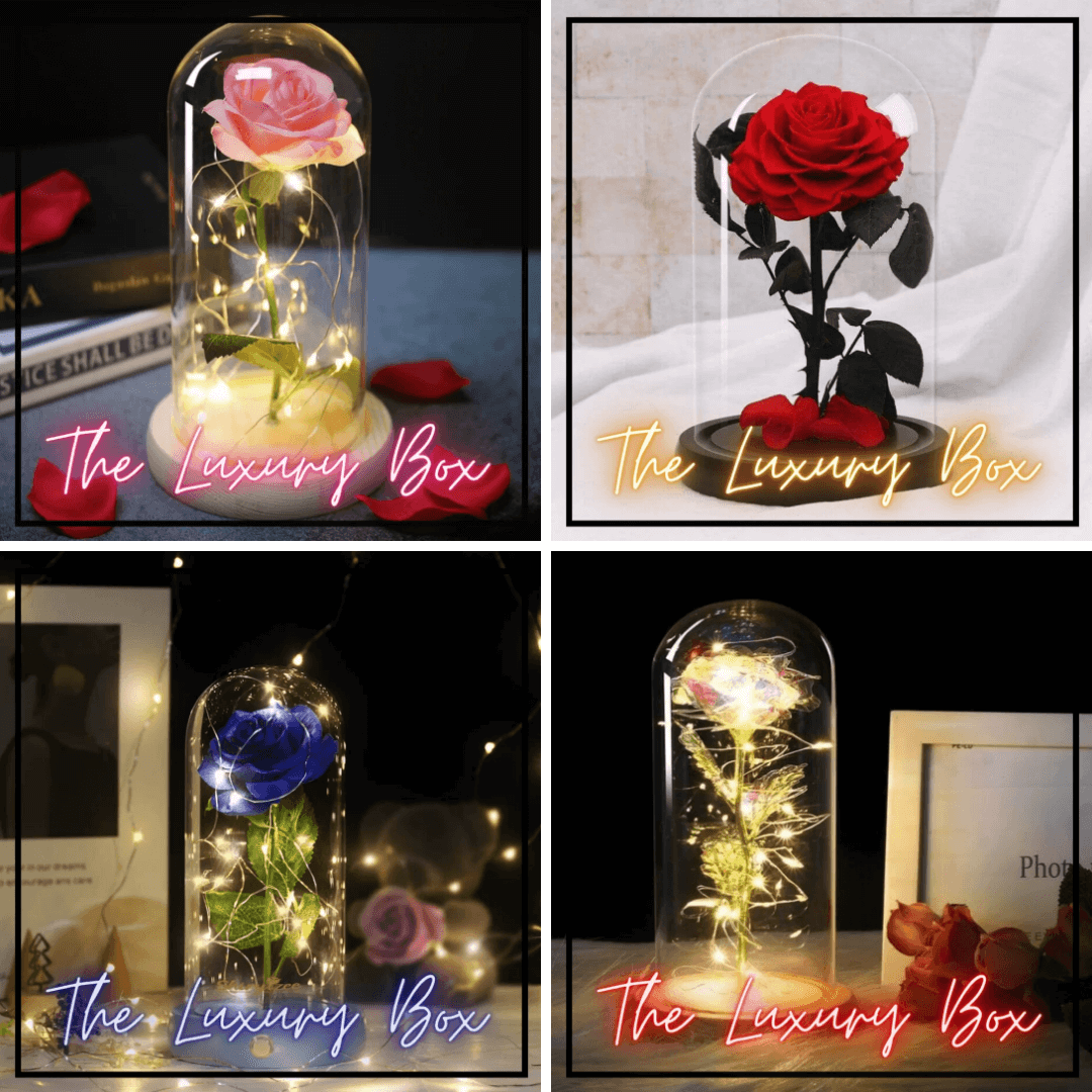 The Luxury Box - Mixte Sans titre | The Luxury Box