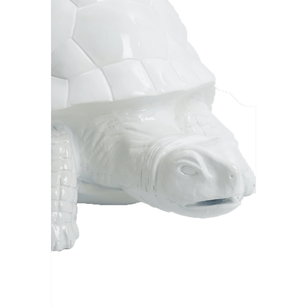 Tortue en résine (1) Tortue en resine 1 | The Luxury Box