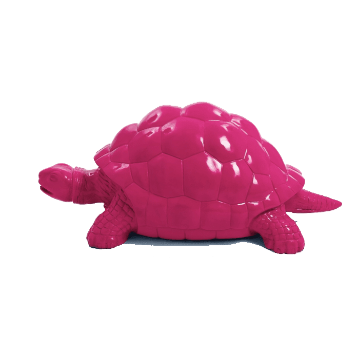 Tortue en résine (21) Tortue en resine 21 | The Luxury Box