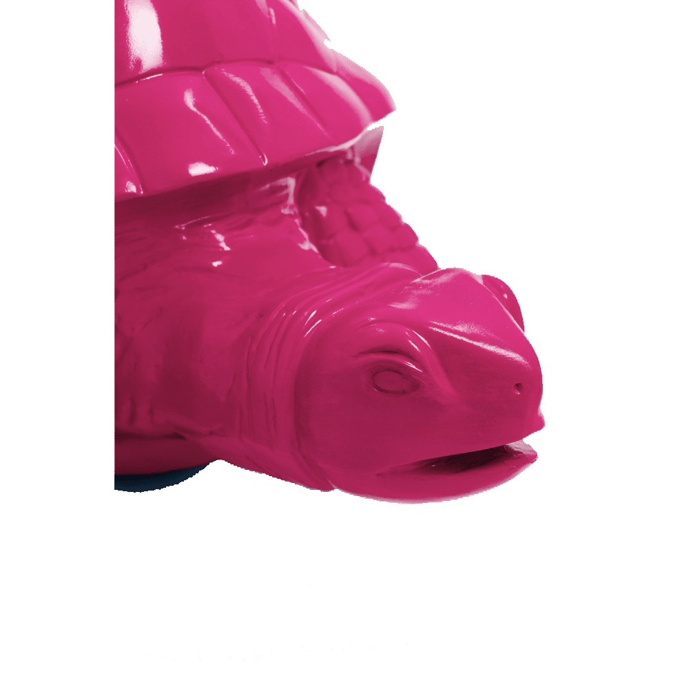 Tortue en résine (22) Tortue en resine 22 | The Luxury Box