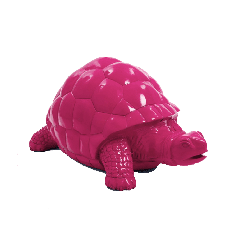 Tortue en résine (23) Tortue en resine 23 | The Luxury Box
