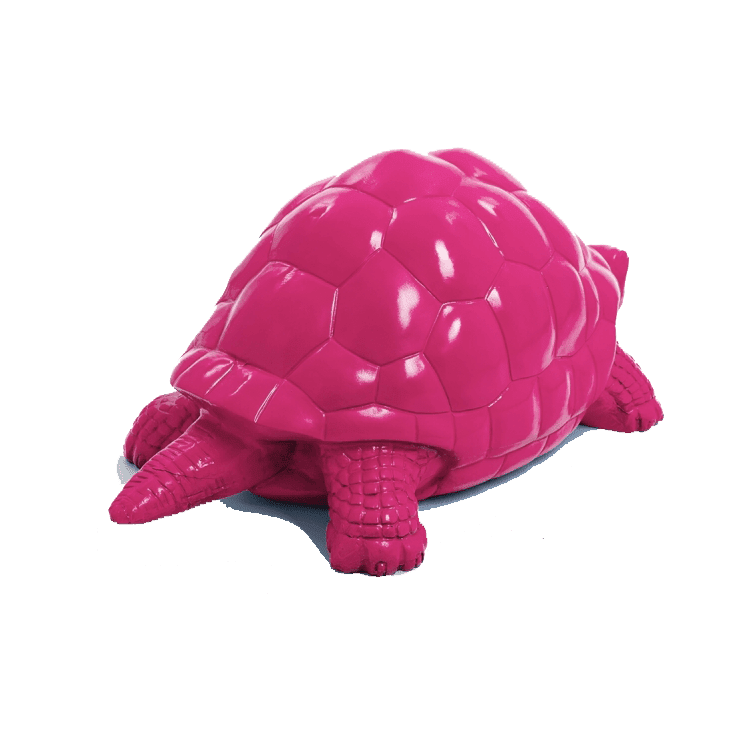 Tortue en résine (24) Tortue en resine 24 | The Luxury Box