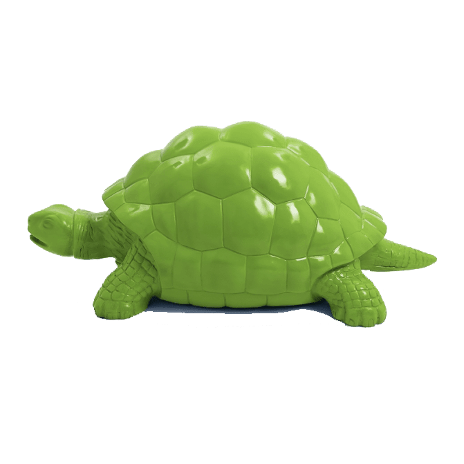 Tortue en résine (29) Tortue en resine 29 | The Luxury Box