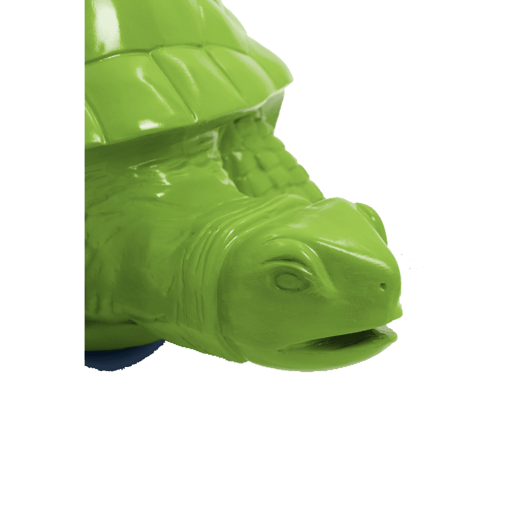 Tortue en résine (30) Tortue en resine 30 | The Luxury Box