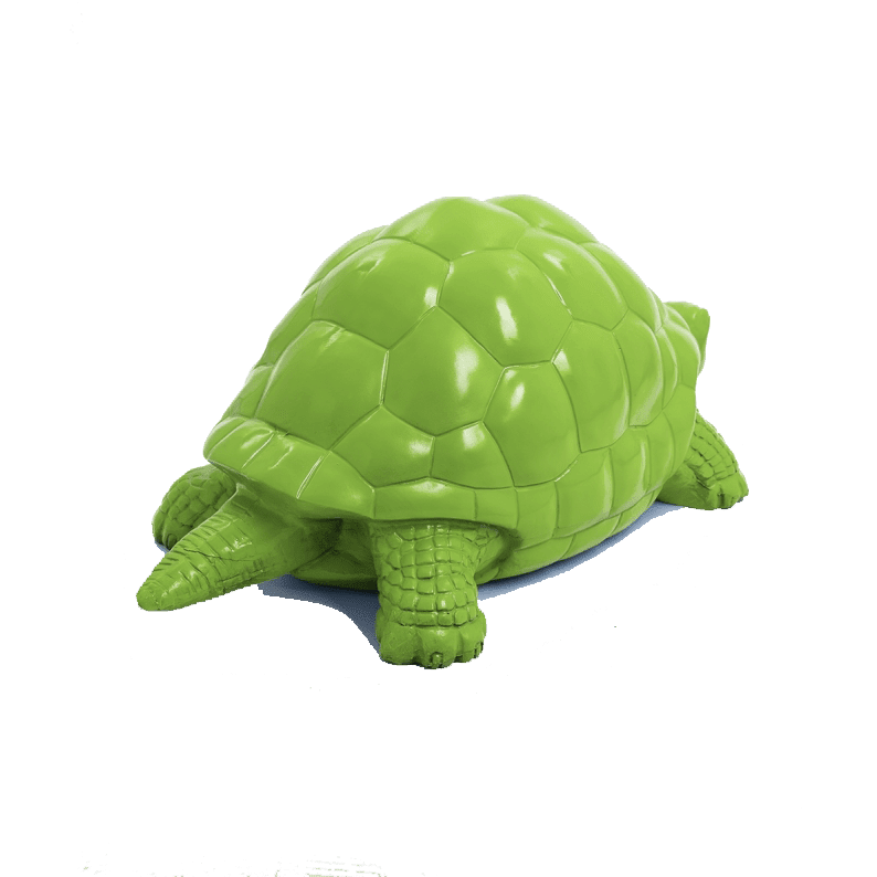 Tortue en résine (32) Tortue en resine 32 | The Luxury Box