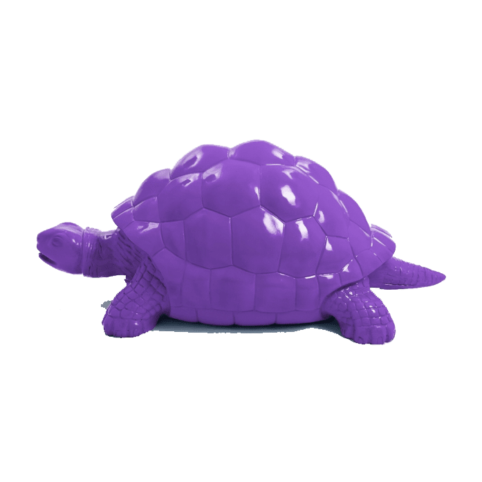 Tortue en résine (33) Tortue en resine 33 | The Luxury Box