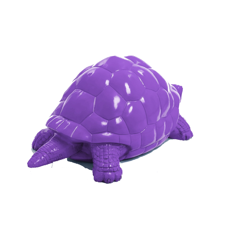 Tortue en résine (36) Tortue en resine 36 | The Luxury Box