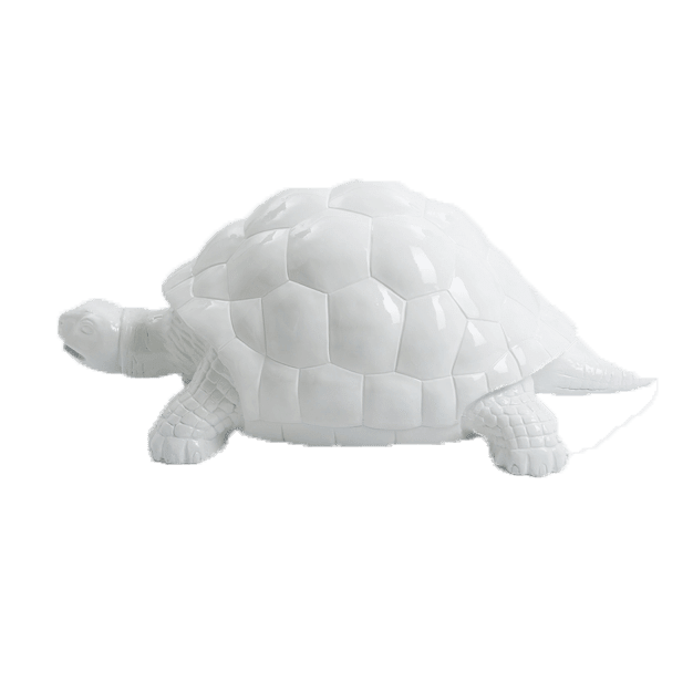 Tortue en résine (4) Tortue en resine 4 | The Luxury Box