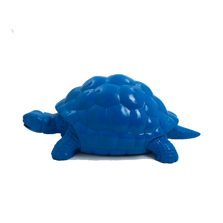 Tortue en résine (5) Tortue en resine 5 | The Luxury Box