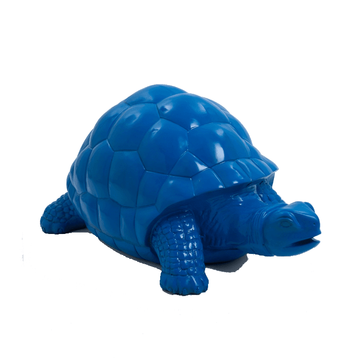 Tortue en résine (7) Tortue en resine 7 | The Luxury Box