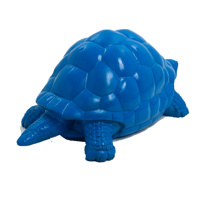 Tortue en résine (8) Tortue en resine 8 | The Luxury Box