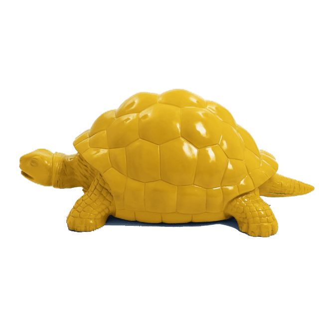 Tortue en résine (9) Tortue en resine 9 | The Luxury Box