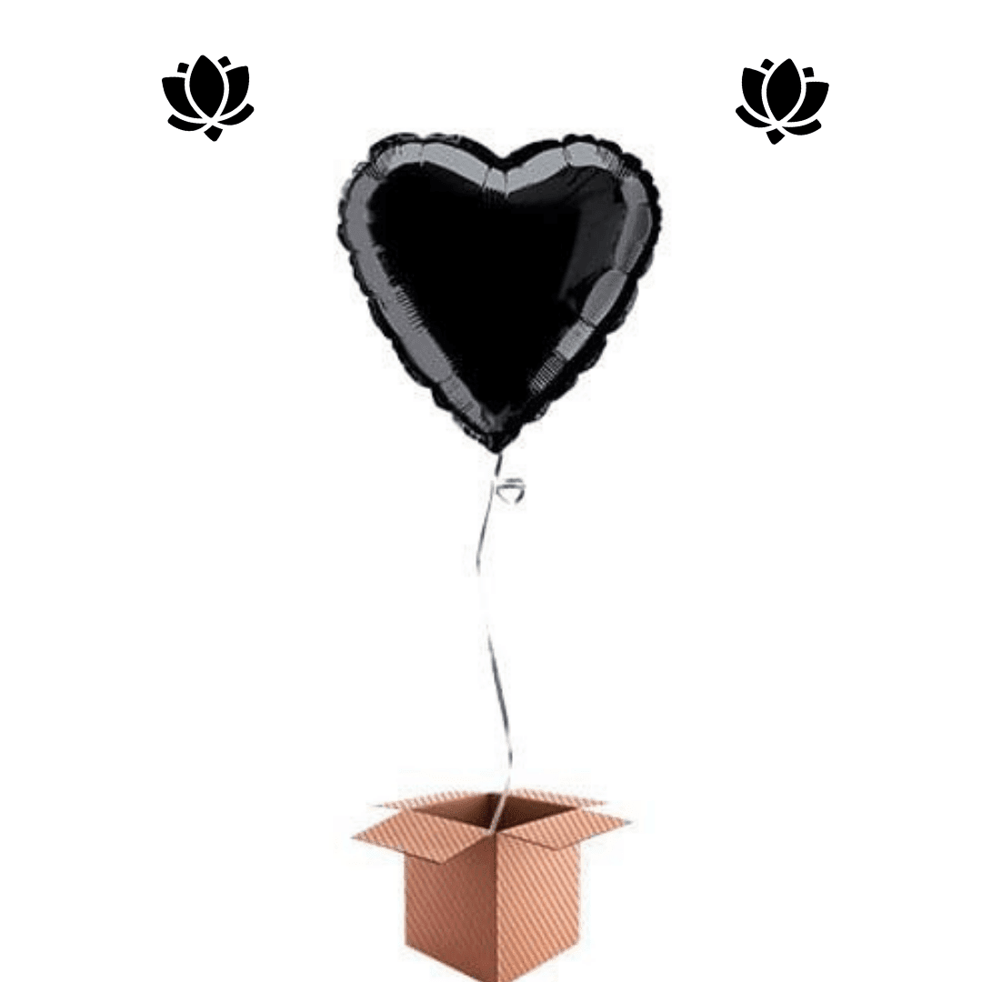 19 Livraison de ballon à domicile