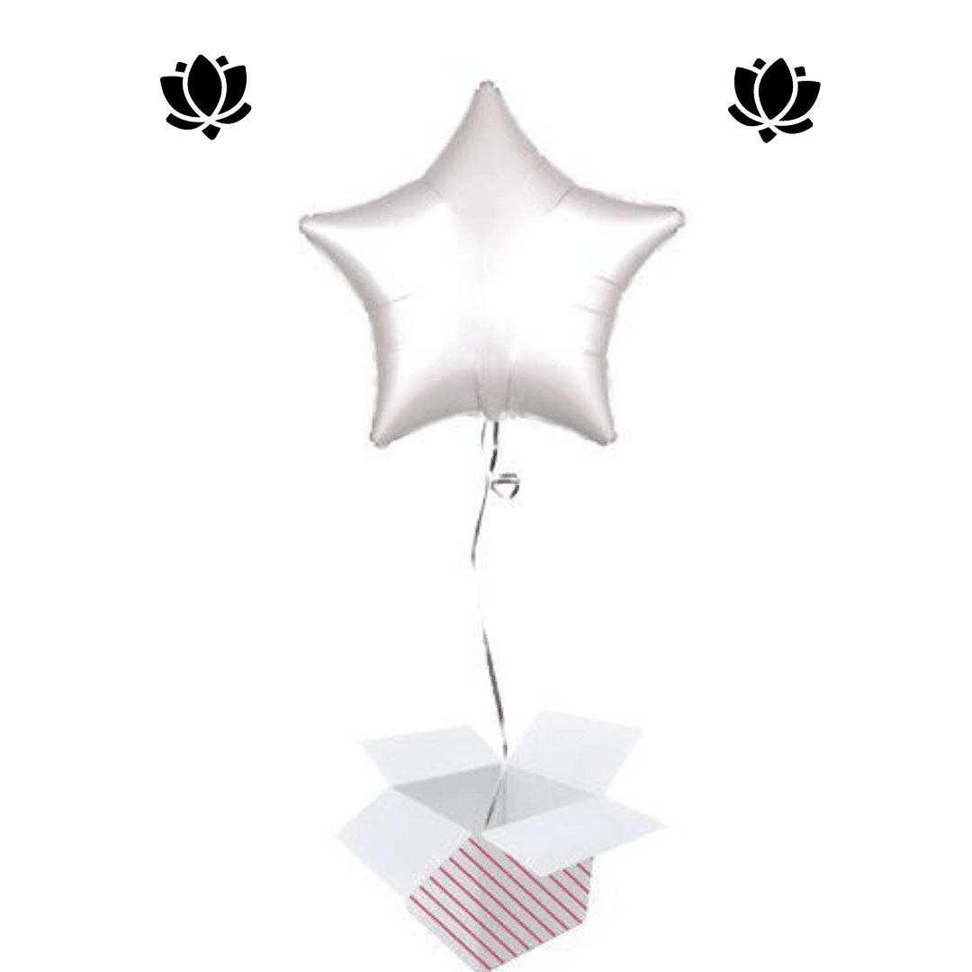 22 Livraison de ballon à domicile