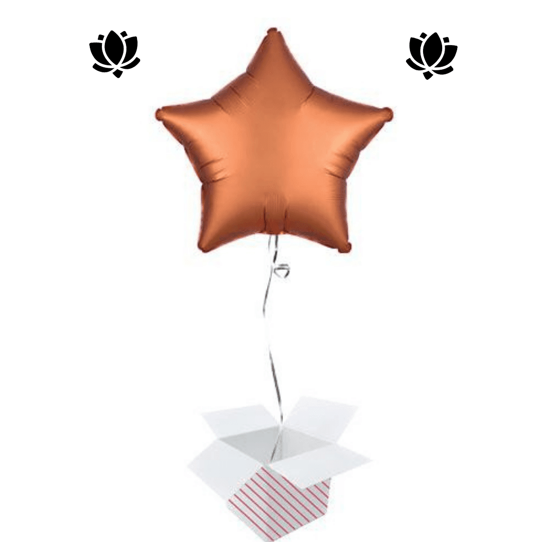 24 Livraison de ballon à domicile