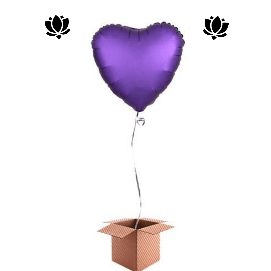 31 Livraison de ballon à domicile