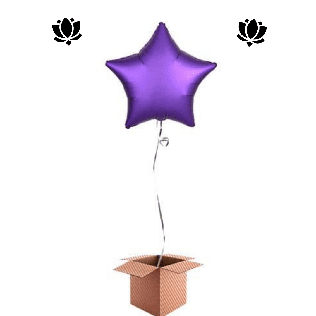 32 Livraison de ballon à domicile