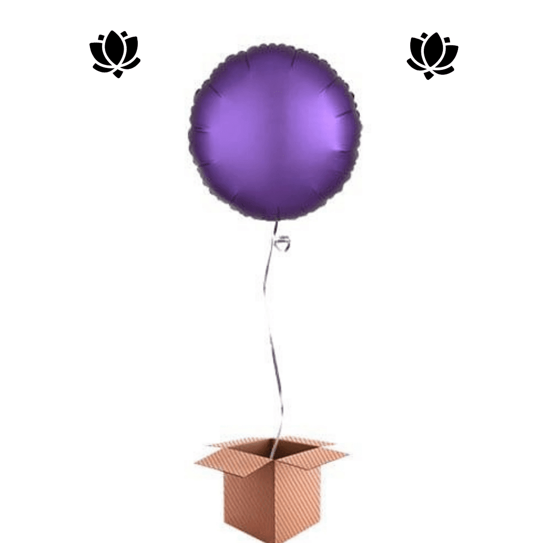 33 Livraison de ballon à domicile