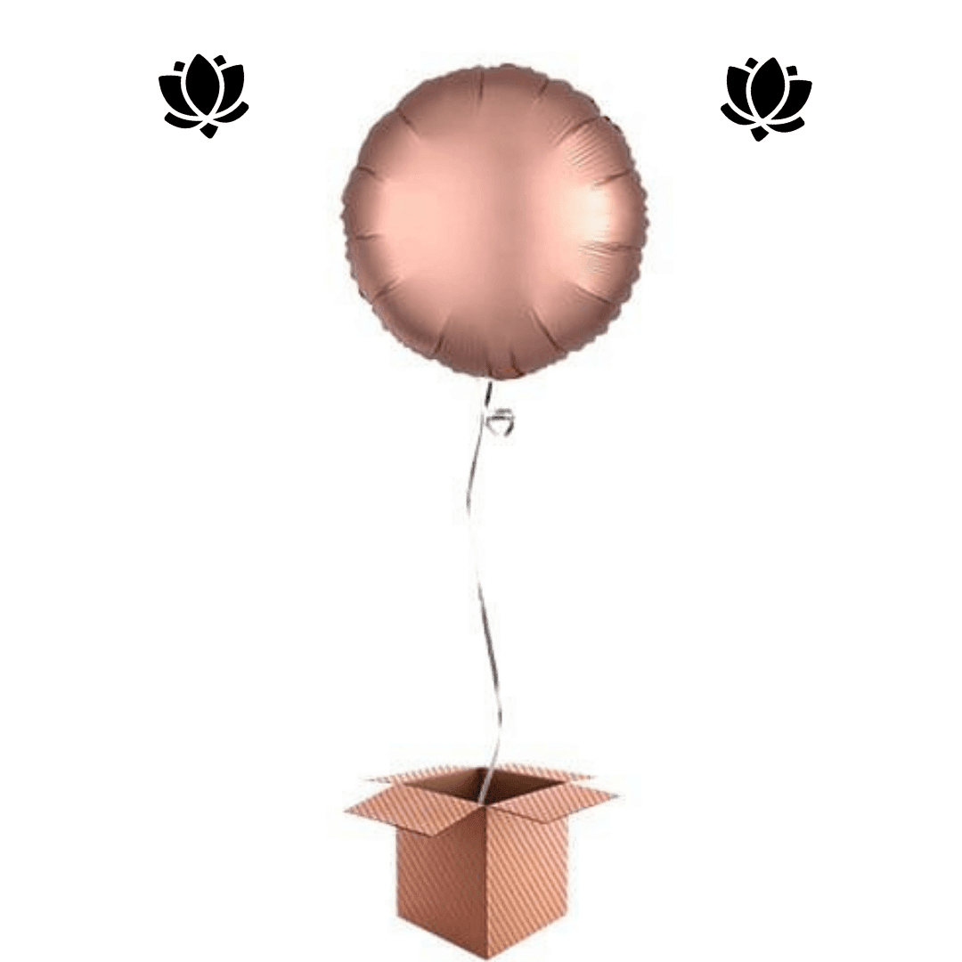 4 Livraison de ballon à domicile