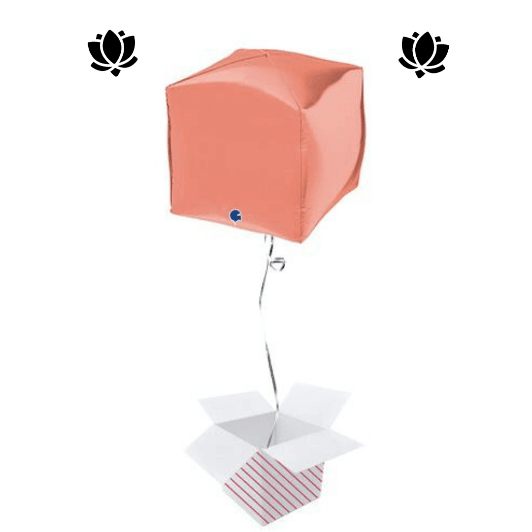 7 Livraison de ballon à domicile