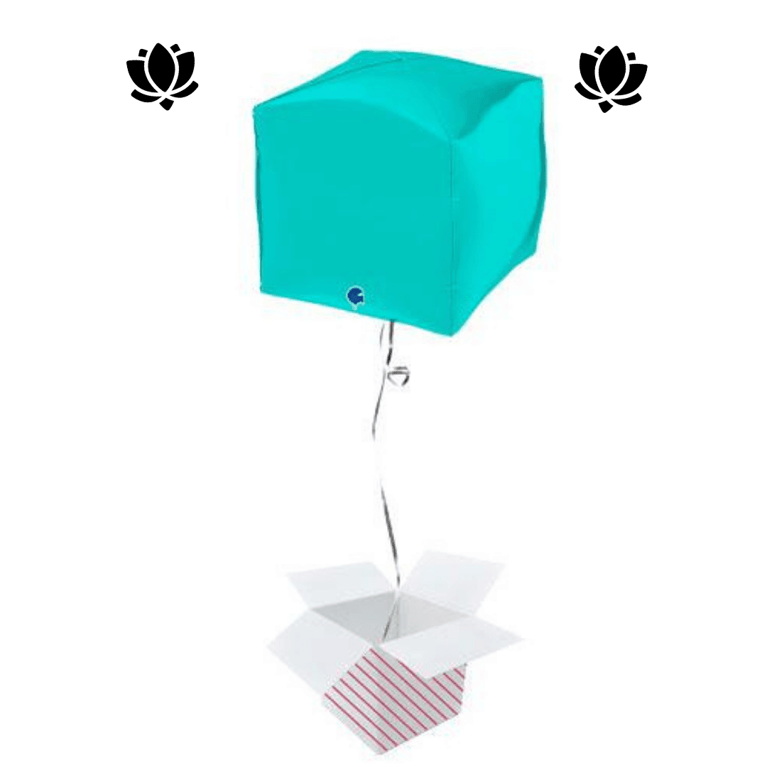 9 Livraison de ballon à domicile