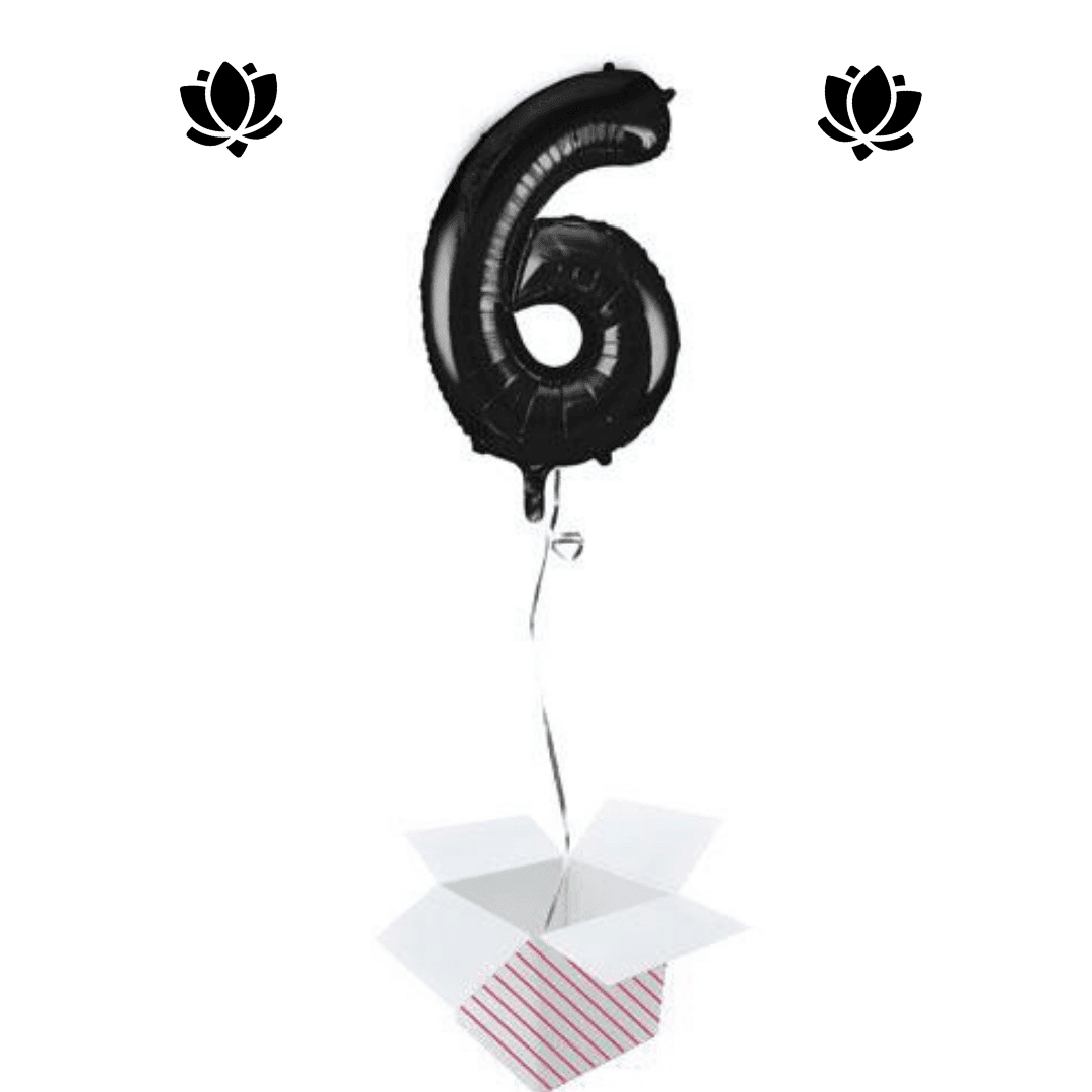 Ballon Box (1) Livraison de ballon à domicile