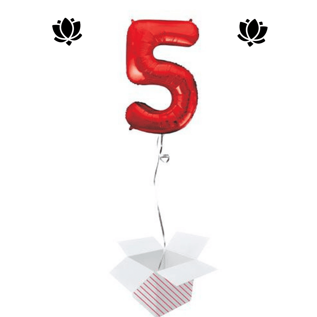 Ballon Box (10) Livraison de ballon à domicile