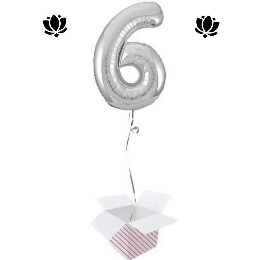 Ballon Box (11) Livraison de ballon à domicile