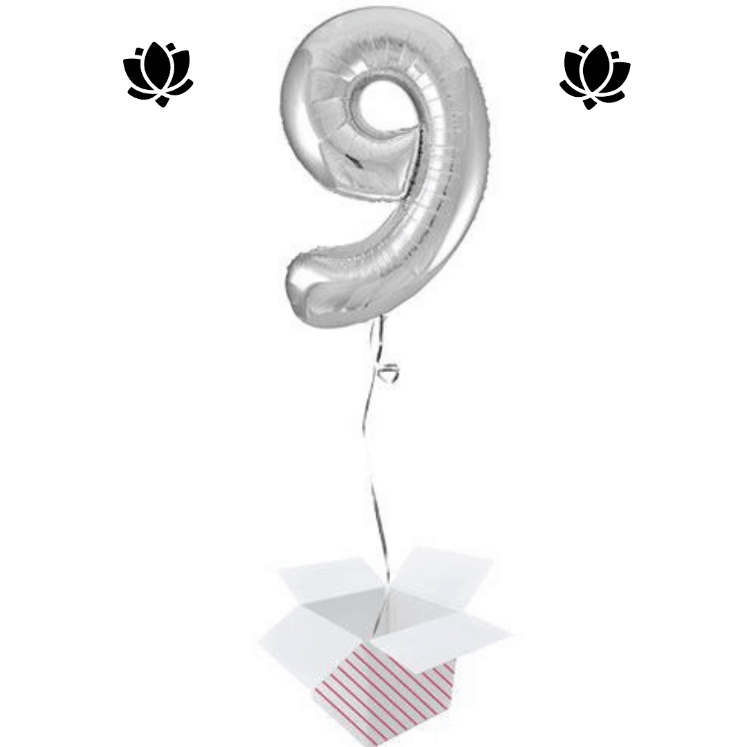 Ballon Box (14) Livraison de ballon à domicile