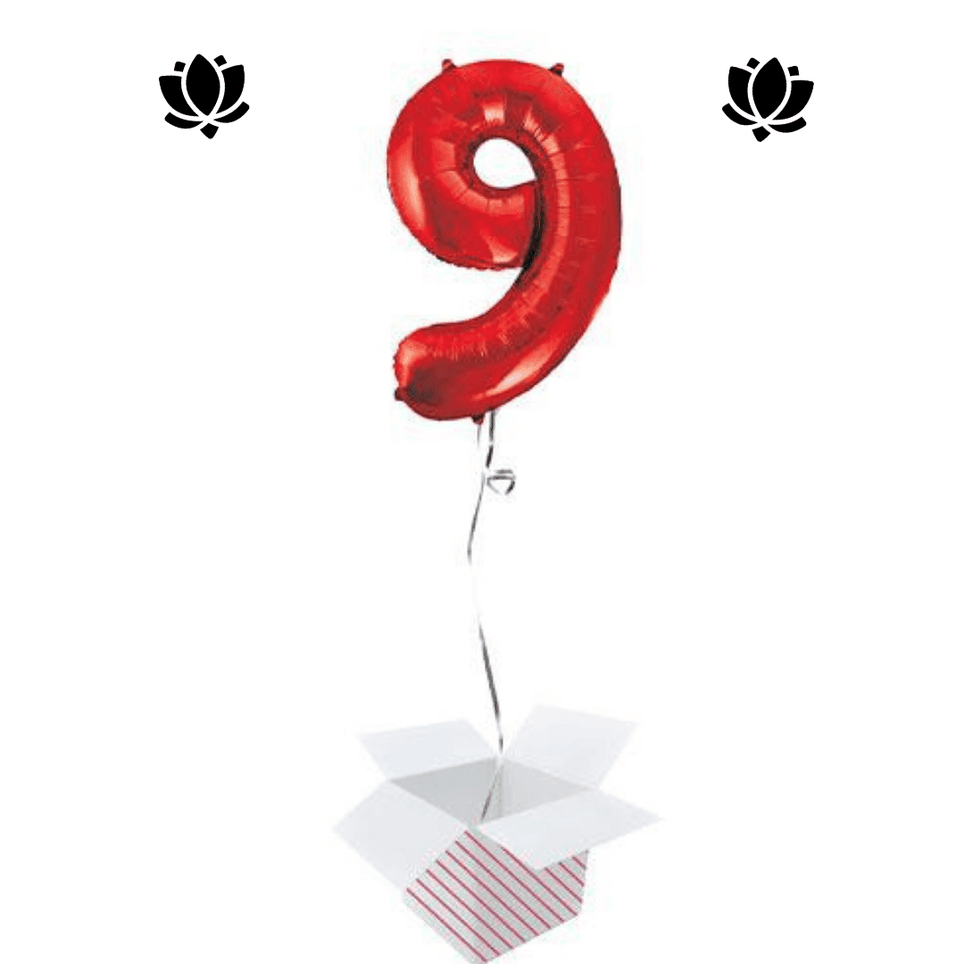 Ballon Box (14) Livraison de ballon à domicile