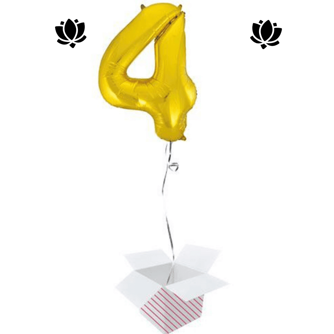 Ballon Box (15) Livraison de ballon à domicile