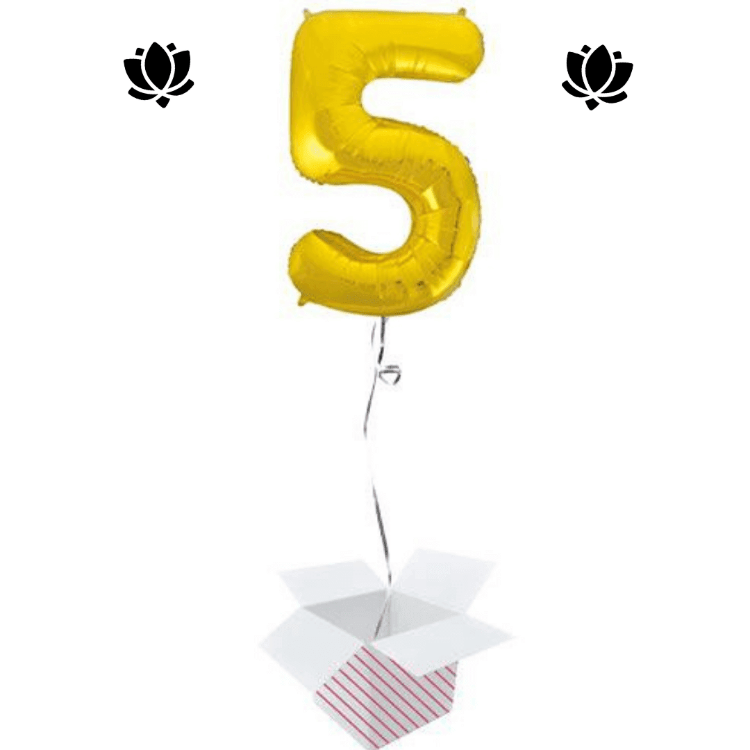 Ballon Box (16) Livraison de ballon à domicile